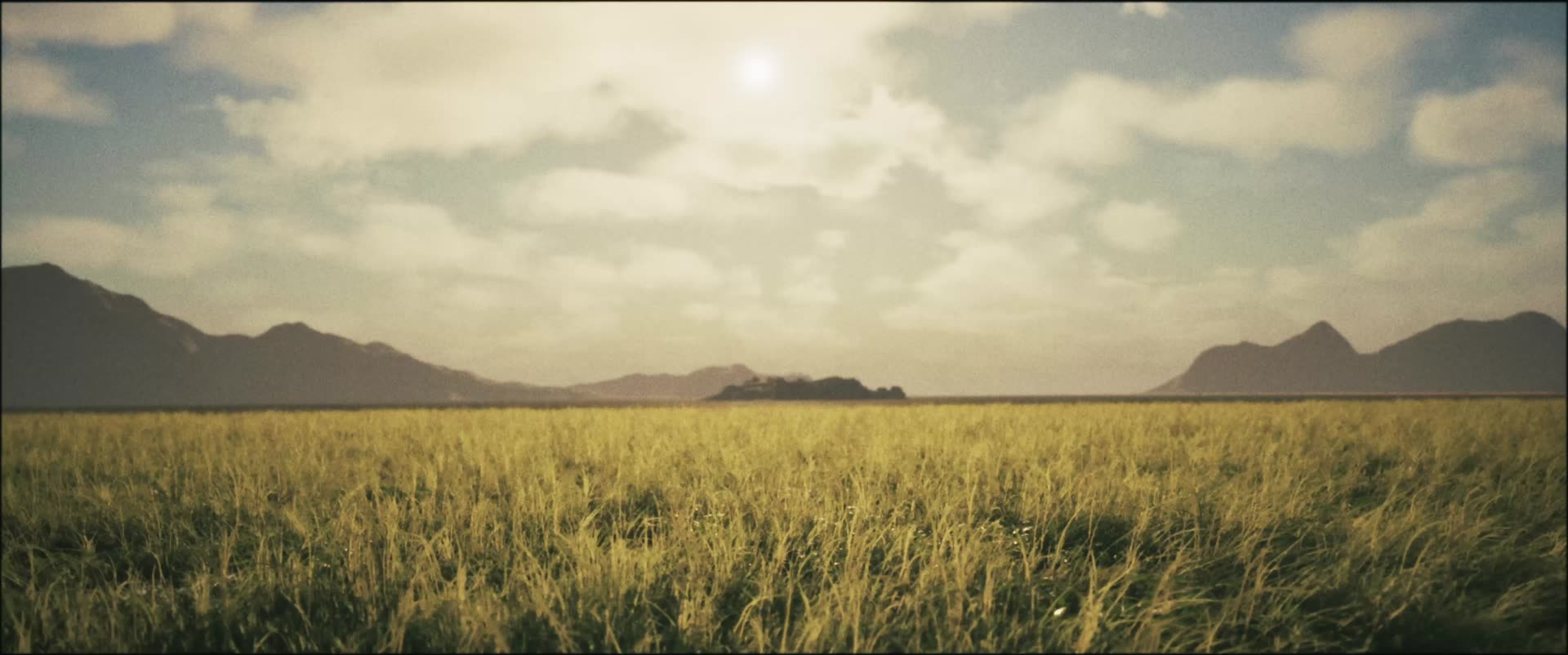 Tall grass in the foreground of a wide plain under a soft sky, mountains on the horizon