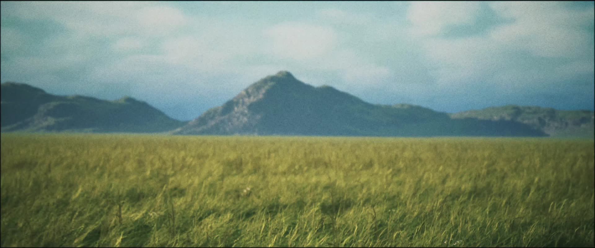 Open grassland running to a mountain range